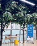 익산영등도서관, 새해 소원을 담는 소원나무 설치