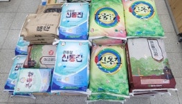 전북 대표 쌀 ‘신동진 벼’ 정부 보급종 퇴출···반대 목소리 거세
