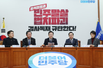 민주당 내홍 가속, 