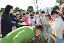 반려나무와 함께 자라는 익산 낭산초