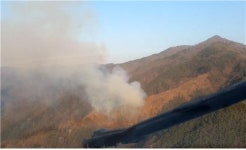 남원 야산서 산불...3시간 10여분 만에 주불진화완료