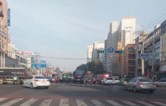 벚꽃철에 도로 포장 공사⋯“왜 하필 지금”