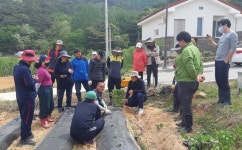 정읍 체재형 가족실습농장서 도시민 영농체험