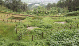 [후백제 역사, 다시 일으키다-문화유산으로 본 후백제] ⑬후백제 초기 유적지 순천·여수·광양 일대