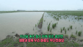 [영상]지난달 침수 피해 맞은 용안면…이번엔 태풍까지