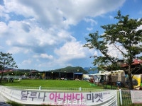 [줌]유기견·사람 함께 뛰노는 곳 되길-완주 유기견 카페 달루나 운영하는 김성욱 작가