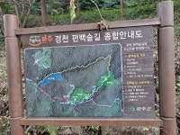 [추석특집 : 도내 이색 힐링 장소] 완주 경천 애인마을과 편백숲 트레킹