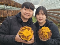 버섯 농부된 대구 출신 20대 청년 손동현 동그리농장 대표 “‘농업=사업’이라는 것 보여주고 싶어요”