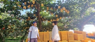 익산시, 기후변화 대응 재배시설 환경개선 추진