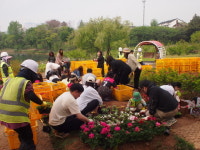 익산 시민이 함께 만든 꽃바람 정원