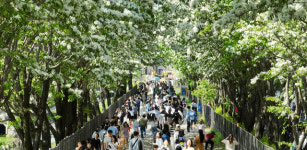 개방된 전주 팔복동 이팝나무 철길 첫 주말