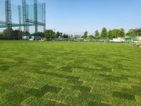 철거되는 전주종합경기장 잔디, 다른 축구장으로 이식됐다