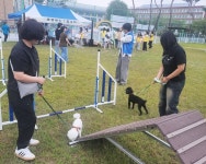 원광보건고, 익산시민과 함께한 멍냥이 가족운동회 성황