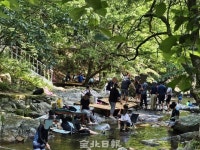 성수기 전에 단속하고 유예 1개월? 봐주기 단속에 계곡 불법 영업 성행