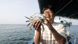 [기업 탐방] 바다의 신선함을 당신의 집까지 전달하는 수산 스타트업 기업 봉선장