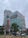 도내 12개 시·군 맞춤형복지팀장 직렬 권고 기준 '미준수'