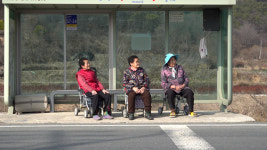 여그 버스가 없어요⋯화정마을 발이 된 사연은
