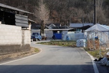 꽃바람 살랑 봄바람 솔솔⋯화정마을에 봄이 찾아왔다