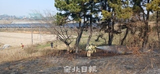 익산 소나무밭서 불…2700만 원 피해