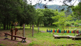 [주말, 여기 어때] 전북 알록달록 봄꽃 향연⋯온 김에 주변 관광도?