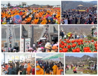 옥정호 벚꽃축제 구름 관람객...전국 각지서 3만 5000명 몰려