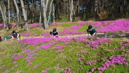 [작지만 강한 우리마을] ④부안 석동마을, 배우던 마을에서 가르치는 마을로