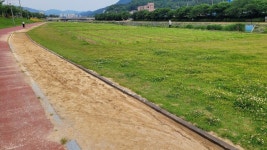 파크골프공 날아다니고, 곳곳에 반려견 분변...정읍천변 부실 관리 비판 봇물