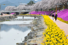 [창간특집] 순창군, 현안 현장 곳곳 누비며 실질적인 변화 만들기 가중