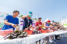전국이 반한 ‘익산 고구마’ 축제·관광·미식 콘텐츠로 재탄생