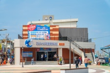 [설 특집] 근대문화 눈에 담고 군산 해망동 가서 ‘수산물 미식 관광’