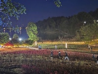 익산 도심에서 피어난 서동·선화의 사랑