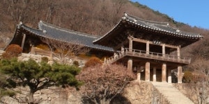 영주 부석사와 선비촌…은행나무길과 저녁예불에 취하다