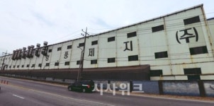노미정 영풍제지 부회장의 이상한 행보