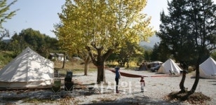 [여행]여백과 낙엽 향 가득한 충주 캠핑장