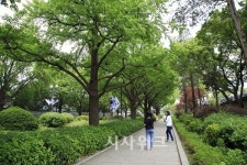 [여행] 죽어서도 잊을 수 없는 광복의 꿈, 망우리공원