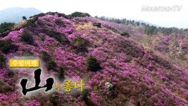 가정의 달 5월, 강화 고려산으로 가족나들이 떠나보세요~