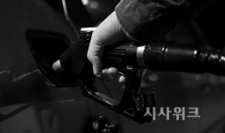 [SUV 운전자들 분노 폭발] 경유값 올리면 정부 사기극