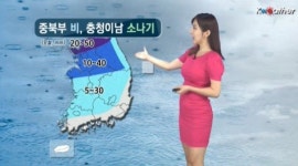 [날씨] 오늘(29일·금) 중북부 장맛비, 충청이남 소나기… 남부 폭염 계속
