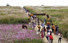 2016 난빛축제 성공적 개막… 주말 동안 시민 1만여 명 하늘공원 찾아