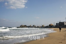 [여행] 바다 향 머무는 강릉 오죽헌·선교장
