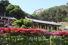 [여행] 힐링과 체험 가득한 홍성 용봉산자연휴양림