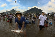 와! 여름이다 7·8월 가볼만한 여름축제 여긴 어때요?