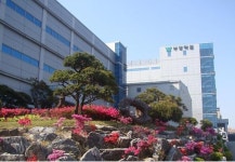 새 출발 부광약품, 아쉬운 실적