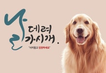 한국마사회, 유기동물 보호 행보 박차… 전시회 날 데려가시개 개최