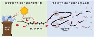 골칫거리 플라스틱, 태양광과 세균이 답이었다