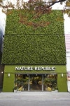네이처리퍼블릭 명동점 친환경 벽면녹화 큰 호응