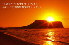 산소도시 제주, 성산일출봉 앞 제주성산 골든튤립호텔 특별분양