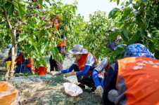 [포토] LX공사, 1사1촌 그린타운 봉사활동 성료