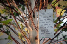 우리관리, 본사 사옥 내 15주년 소통나무 식재