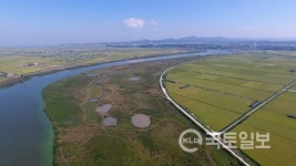 대전국토청, 삽교천 문방지구 종합정비사업 준공···안전한 생태보고로 거듭